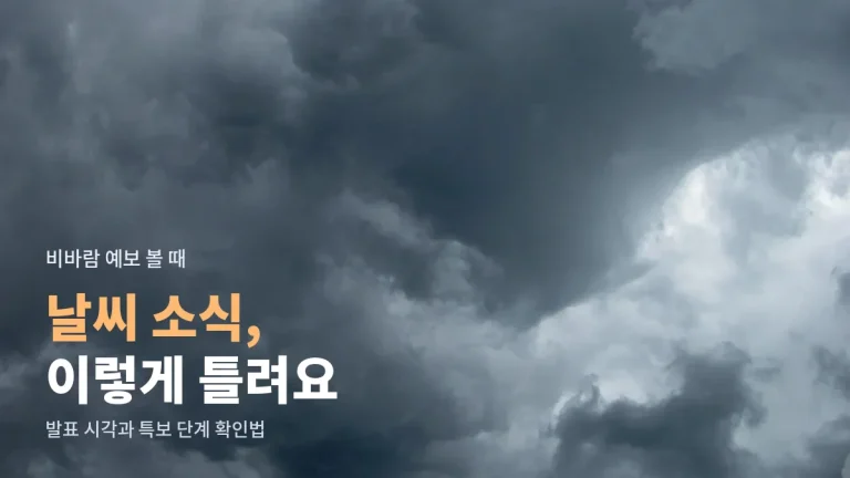 태풍·집중호우 소식 볼 때 자주 하는 실수 - 지난 예보 캡처, 발표 시각 무시, 특보 단계 착각